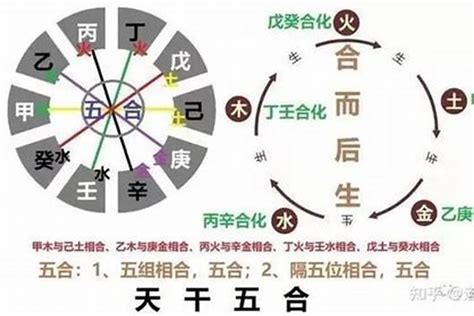 玄關尺寸 八字十天干